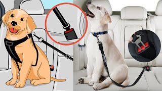 PawSafe  Dog Seat Belt Review Link Below ⬇️ [upl. by Jessamyn930]