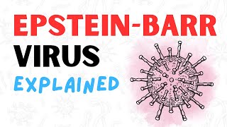 What is the EpsteinBarr Virus  2 Minute RAPID REVIEW [upl. by Dalpe]