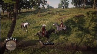 Red Dead Redemption 2 Baylock Vs Thoroughbred [upl. by Atinav]