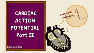 Sinoatrial Node Potential  Pacemaker Potential  Cardiac Action Potential 2  Cardiac Physiology [upl. by Lenette146]