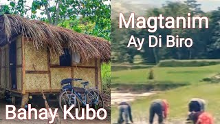 BAHAY KUBO  MAGTANIM AY DI BIRO w Lyrics English Translation Covered by Lakay Islao fr Lupao [upl. by Cyrano]