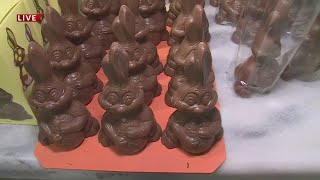 Bissingers gets chocolate bunny decorating kits ready for Easter [upl. by Sabah]