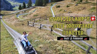 Epic toboggan ride tobogganing fun  Rodelbahn  Moutain Coaster with panoramic alpine beauty🇨🇭😍 [upl. by Oratnek]