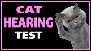 Cat Hearing Test  Test Your Cats Ears [upl. by Thay]