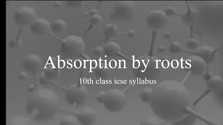 absorptive by roots class 10 icse [upl. by Wendy]