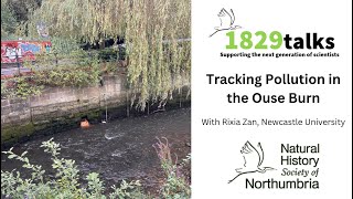 Tracking Pollution in the Ouseburn [upl. by Nidnerb]