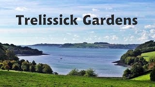 Trelissick Gardens in Cornwall [upl. by Zakaria]