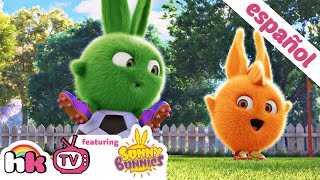 Fiesta fútbol  Las Aventuras de Sunny Bunnies  Dibujos animados  HooplaKidz TV en Español [upl. by Jacy]