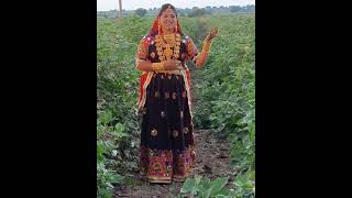 Rashmita Rabari Paghadiwala Song Gujrati Dandiya rashmitarabari dandiyadandiyaraasjm418kisan [upl. by Fogg]