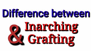 Difference between Inarching and Grafting [upl. by Suzetta]