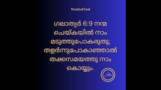 Oru mazhayum thorathirinuttillachristianmusic christianmalayalam [upl. by Onaled661]