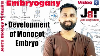 Reproduction in flowering plants monocot embryoganyDevelopment of monocot embryo [upl. by Childers]