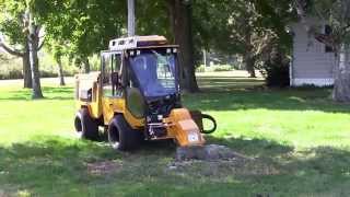 Trackless MT7 Stump Grinder [upl. by Emmalyn]