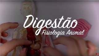 Fisiologia Animal Digestão [upl. by Baoj]