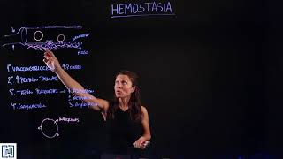 Hemostasia fisiologia de la coagulacion plaquetas [upl. by Walsh]