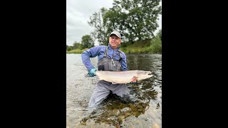 Salmon fishing at Middle Pavilion on the River Tweed [upl. by Niessuh332]