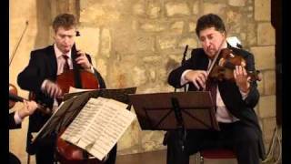 Wihan Quartet  Beethoven Op59 No1 Razumovsky 1st mov [upl. by Hugon]