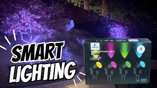 Light Up Your Yard With Unique Color Changing Smart Landscape Lighting WiFi Enabled with an App [upl. by Adrahs]