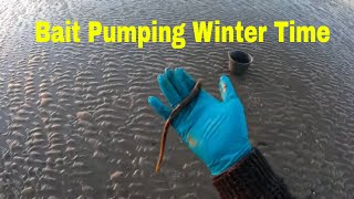 Trying to get the elusive winter lugworm [upl. by Lunneta]