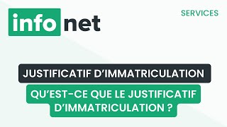 Qu’estce que le justificatif d’immatriculation  définition aide lexique explication [upl. by Nilhsa]