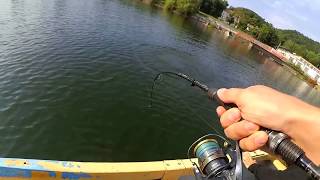 Pike make my shimano twinpower screaming [upl. by Kaitlynn203]