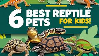 6 Best Reptile Pets for Kids [upl. by Raven]