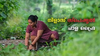 നിളാസ് സ്പെഷ്യൽ ചാള ഫ്രൈ 🐟  Nila Nambiar Offical [upl. by Iniretake732]