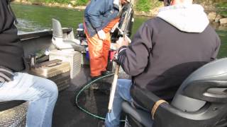 Fishing on the Clackamas River  Brent 22 [upl. by Vernor]