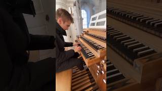 Stunning TOCCATA in D MINOR by J S Bach [upl. by Ellerihs]