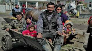 Horse and Carriage 2 in Romania HD [upl. by Yaja]