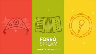 Aninha Vidal  Trem Bala Forró Stream [upl. by Esil]