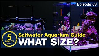 The Best Size Saltwater Aquarium For Beginners [upl. by Odrahcir]