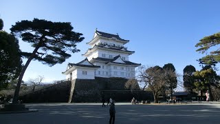 小田原市散歩 小田原城址公園 [upl. by Carman]