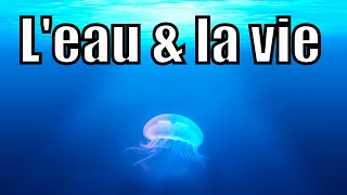 LEau et la Vie [upl. by Angelica26]