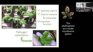 SEEM 2022 06 17 Britt Koskella quotHow a Phyllosphere Microbiome Assemblesquot [upl. by Baxie]