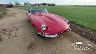 1967 Jaguar E Type 4 2 Series 1 Roadster [upl. by Ahsenwahs]