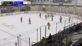 Pittsburgh Penguins Elite vs Buffalo Jr Sabres Game 1 Part 1 [upl. by Davidson]