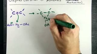 Alkene to Alcohol Oxymercuration Mechanism [upl. by Fraya]