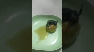 Fertilized duck eggyummy egg youtubeshorts satisfying [upl. by Undry]