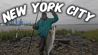 Fishing For Bluefish At A Secret Location In NYC [upl. by Currier]