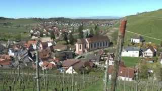 Weinwanderung Durbach [upl. by Hayashi]