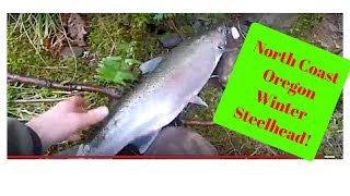 Winter Steelhead Fishing Oregon  Fishing the Oregon Coast  3 fish day [upl. by Corder60]