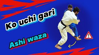 Ko  uchi  gari  Variations and Combinations [upl. by Christensen]