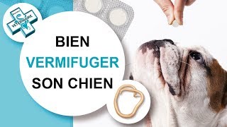 Tuto véto Comment vermifuger son chien  Conseils vétérinaires [upl. by Libenson]