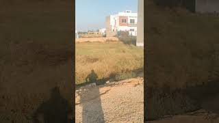 Rose valley roshan homes phase 2 Lahore road Sargodha 5 Marla plot for sale 27x50 size Fori r [upl. by Golliner]