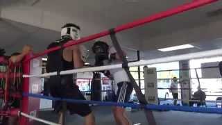 ADAM LOPEZ SON OF HECTOR LOPEZ SHOWING HIS SKILLS EsNews Boxing [upl. by Issak]