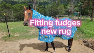 Fitting Fudges new rug [upl. by Macintosh]