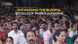 Witnessing the Blissful Rituals of Thirukalyanam  Indias Mega Festivals  National Geographic [upl. by Evin]