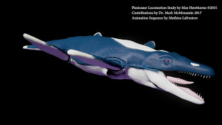 How Plesiosaurs Swam Swim Cycle Animation by Max Hawthorne [upl. by Arema]