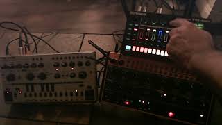 Techno Jam  Behringer TD3  Behringer Crave  Roland TR6S  Dawless Setup [upl. by Roderigo]